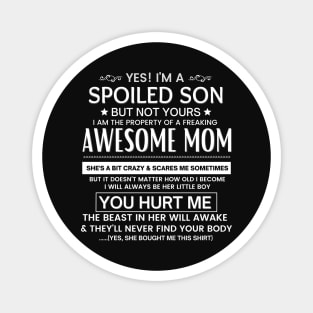 Awesome Mom Magnet